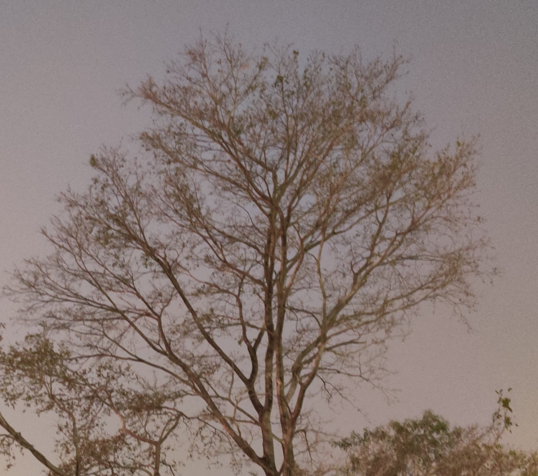 सूखी आस!!!