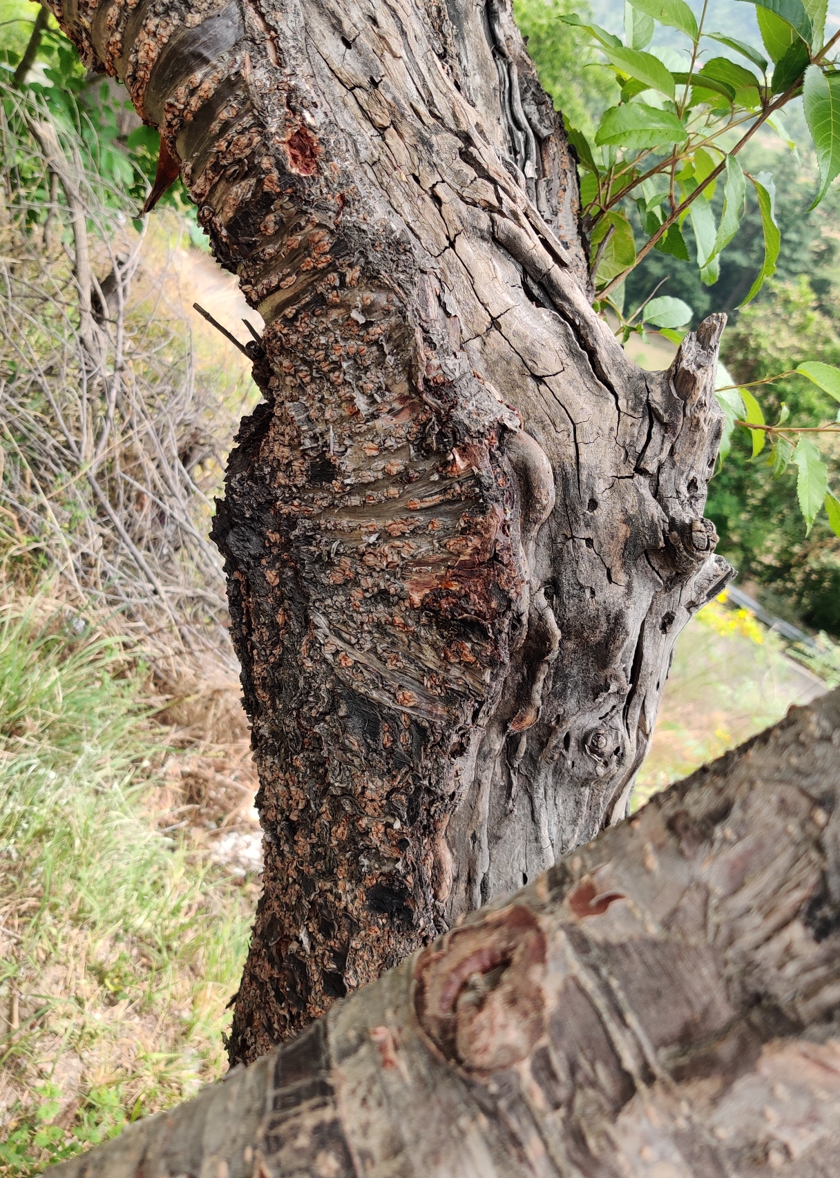 ख़यालों का टुकड़ा!!!