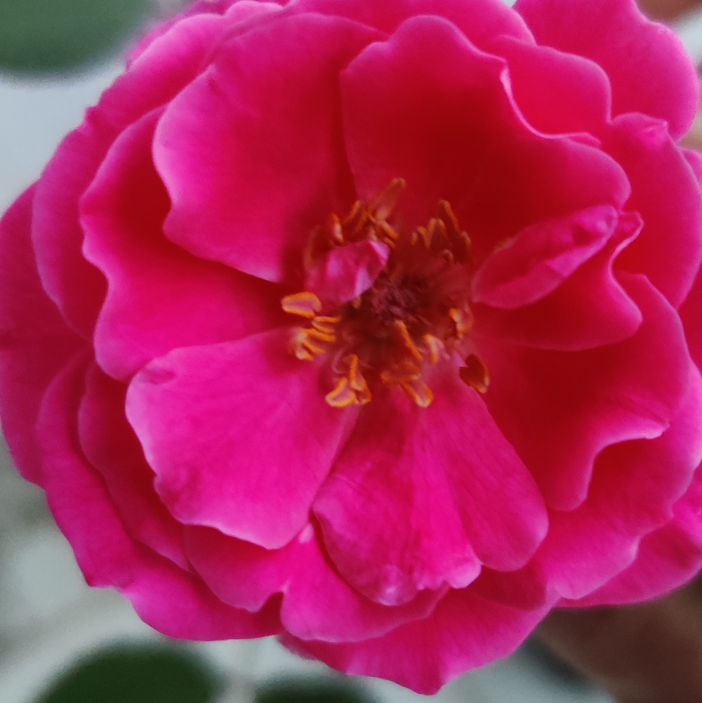 बोलती तस्वीर!!!(सिनेमा)