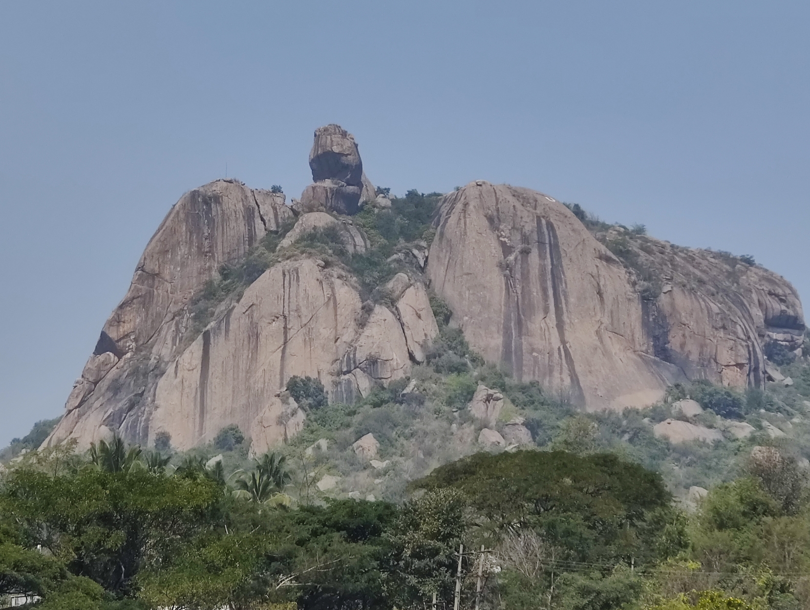 बावले से दिन!!!