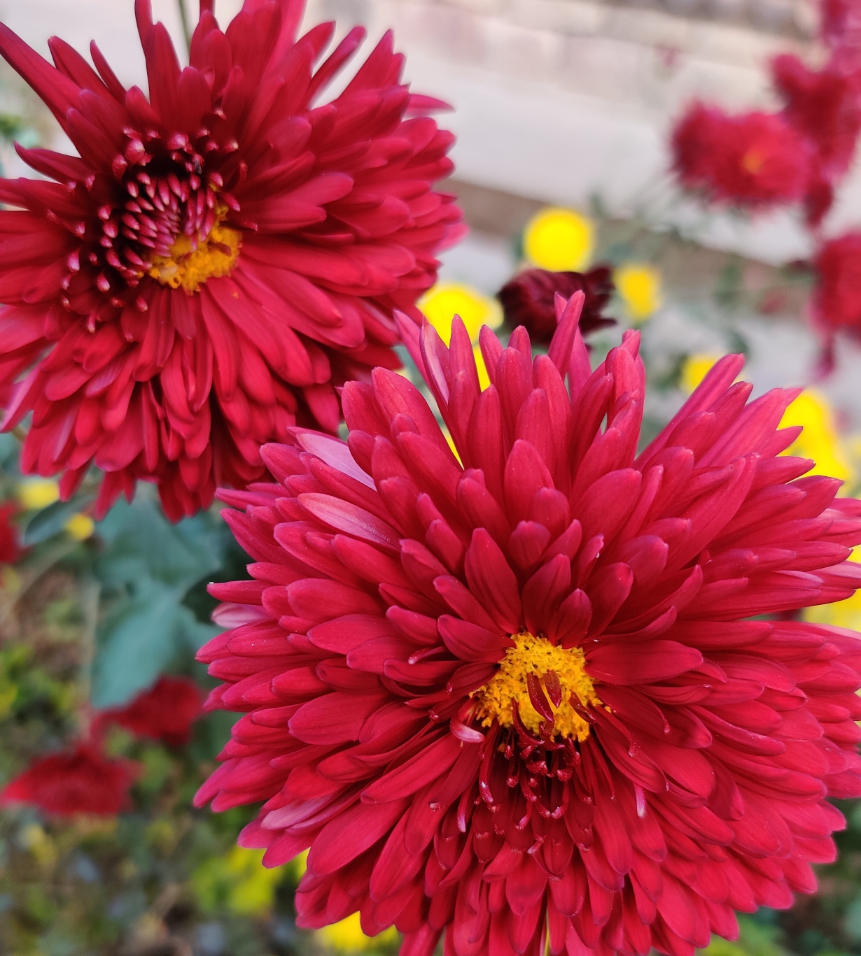 ए ज़िंदगी!!!