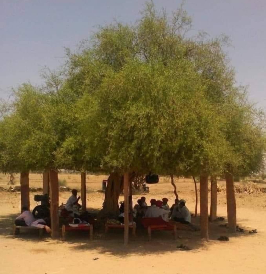 सभ्यता है भी पुरानी???