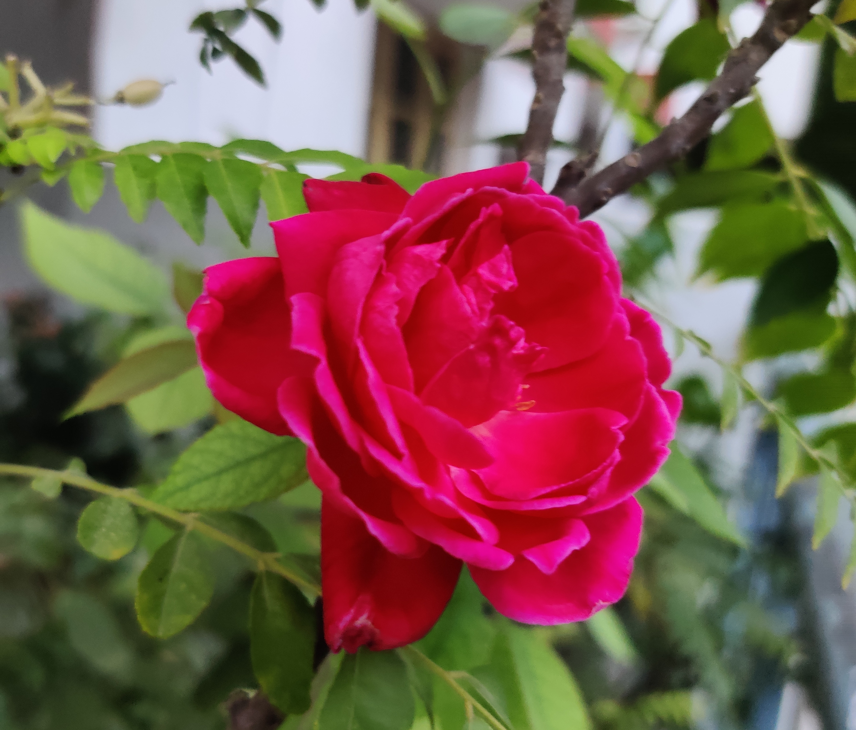 चाँद तारे!!!