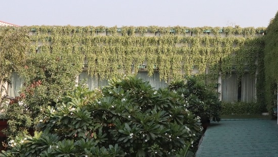 सुबह सुबह!!!