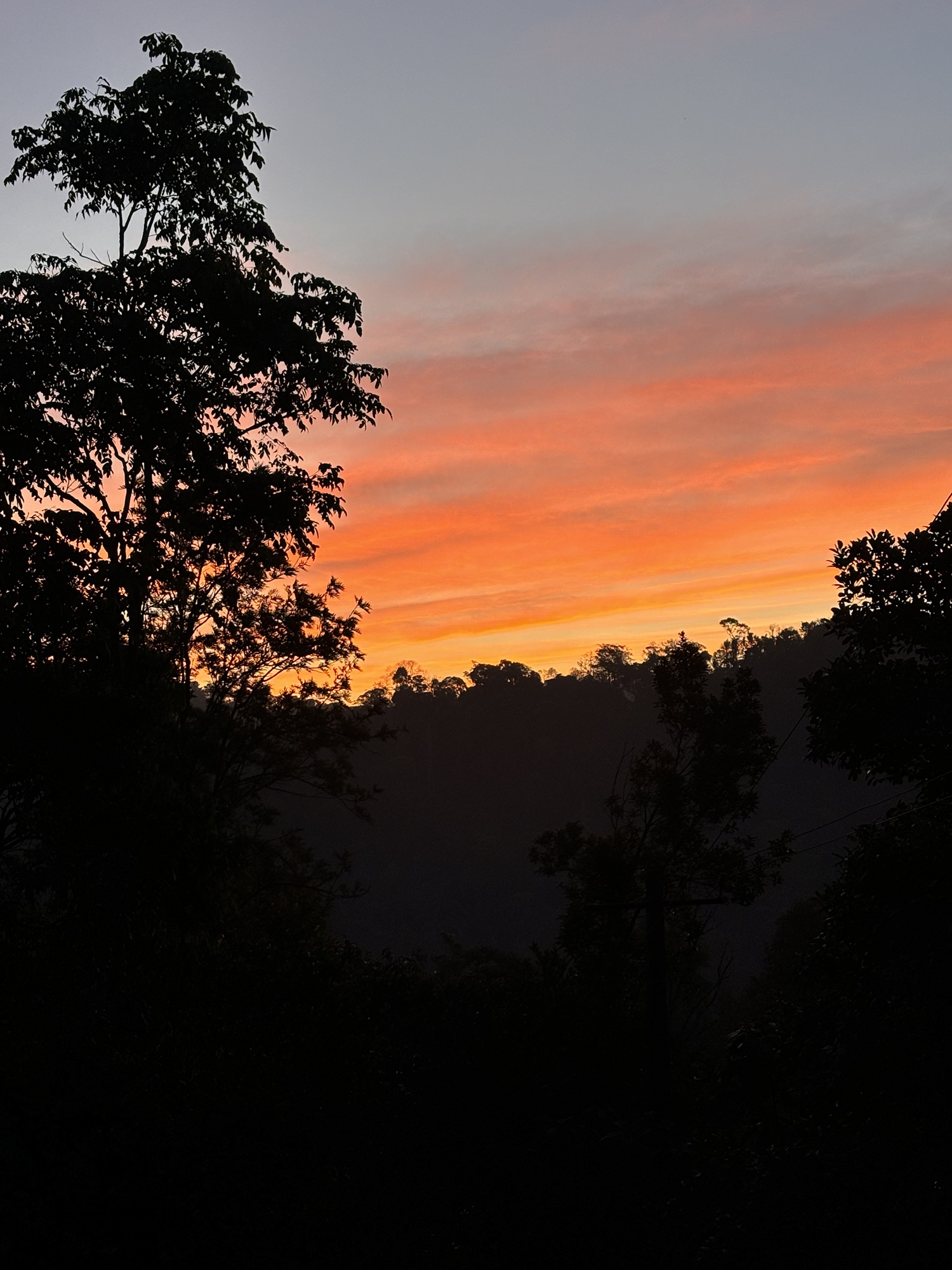 जीवनलीला!!!