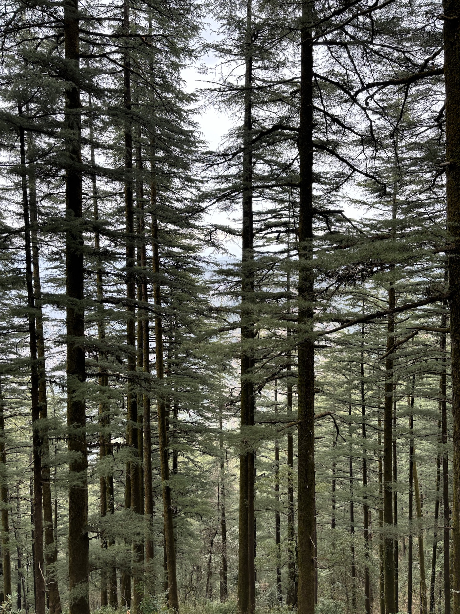 ख़यालों की वज़ाहत!!! (Clarity of Thoughts)