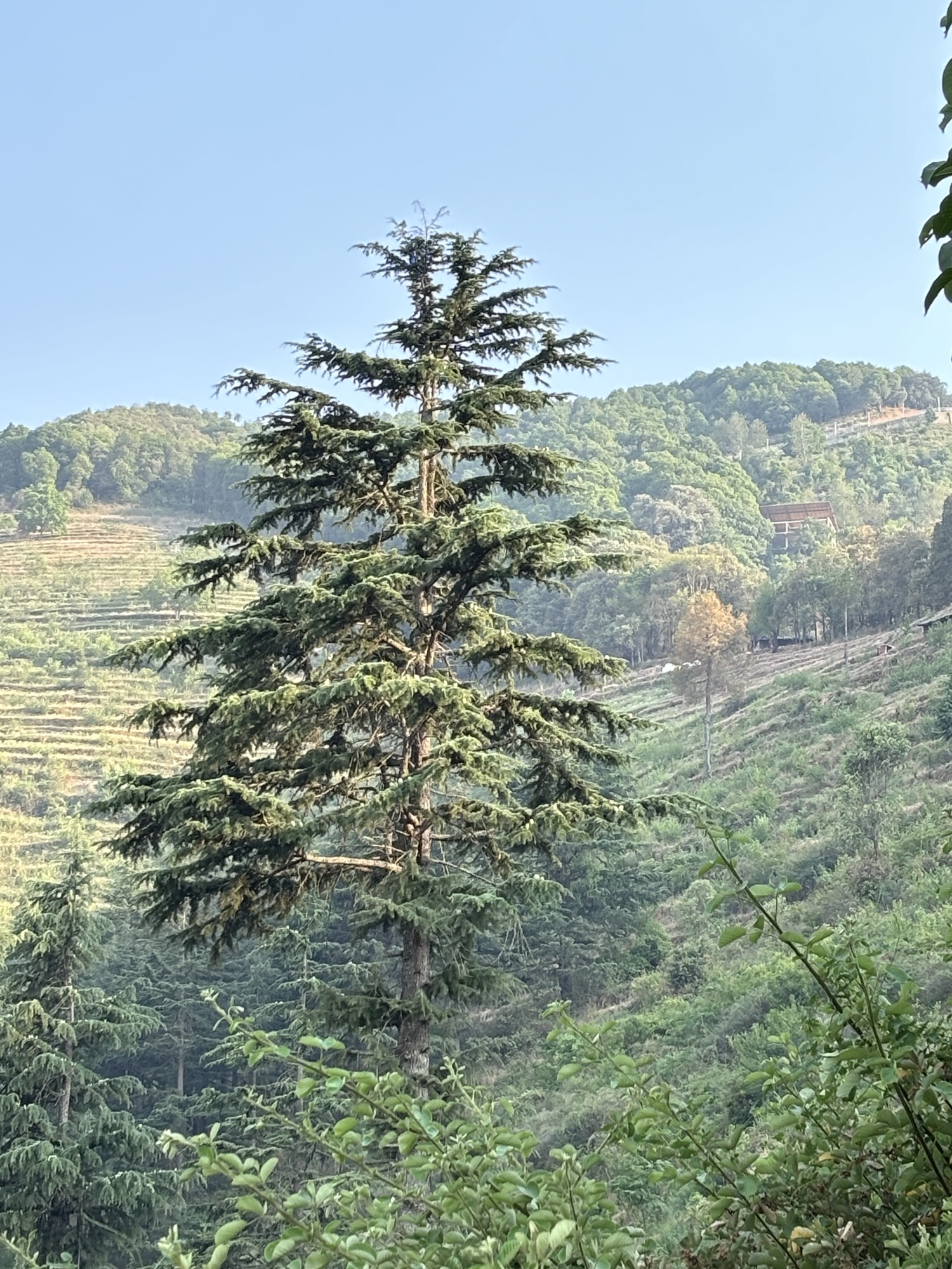 आज़ाद ख़याल!!!