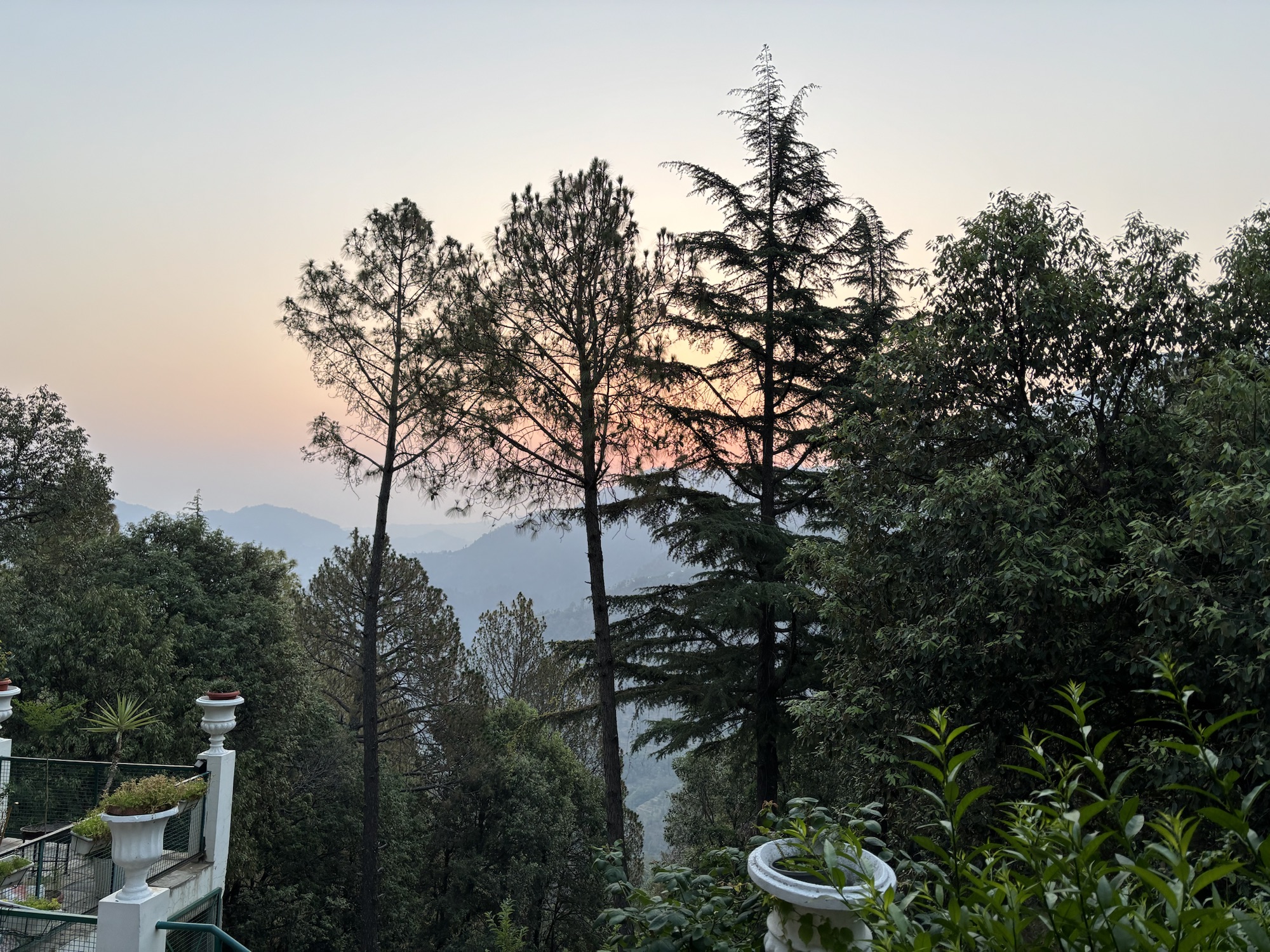 सूरत बनी बचपन से!!!