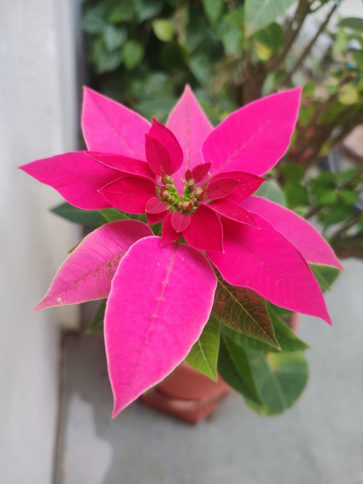 शुभ दीपावली!!!