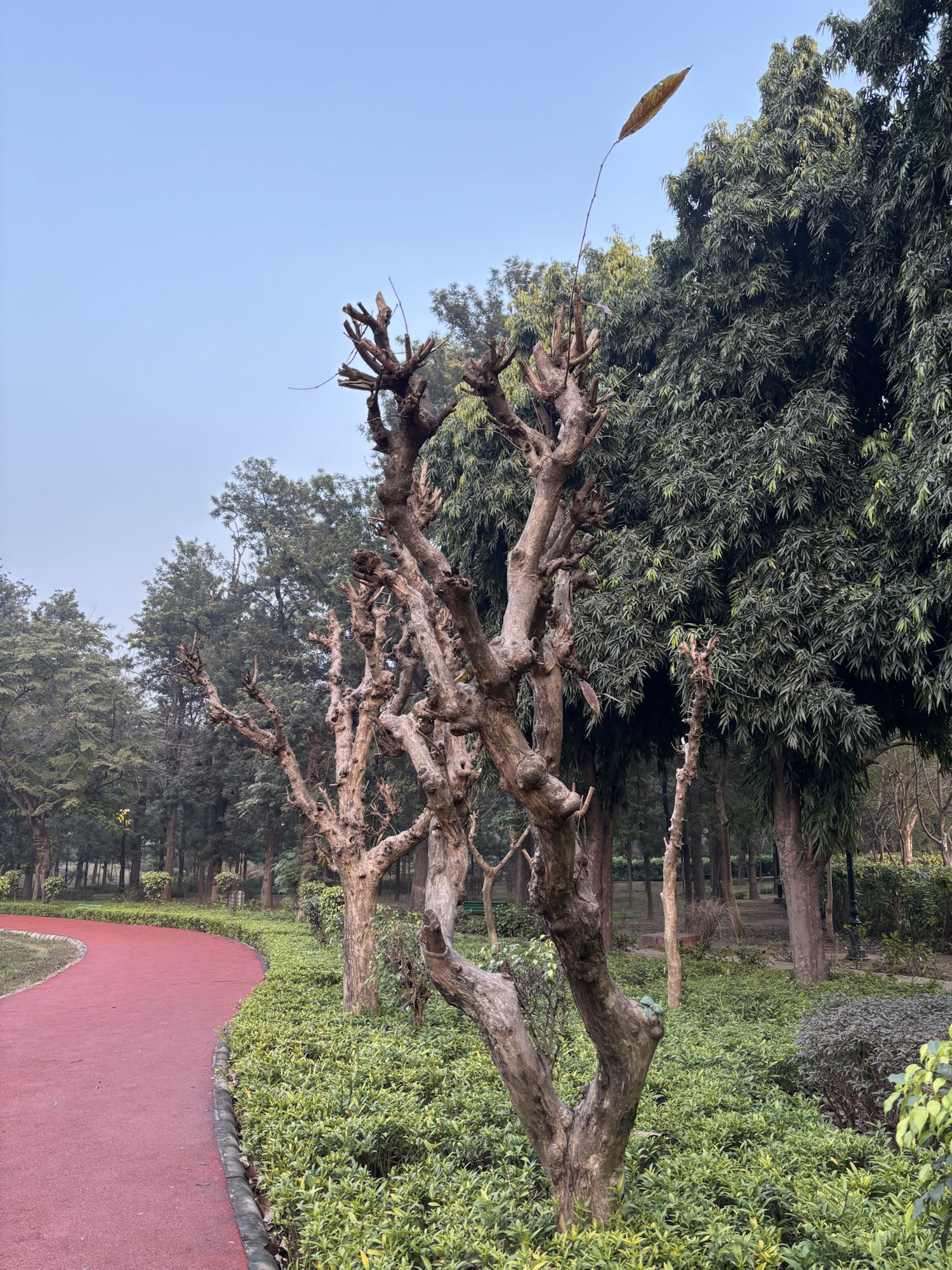 वक़्त और हम!!!