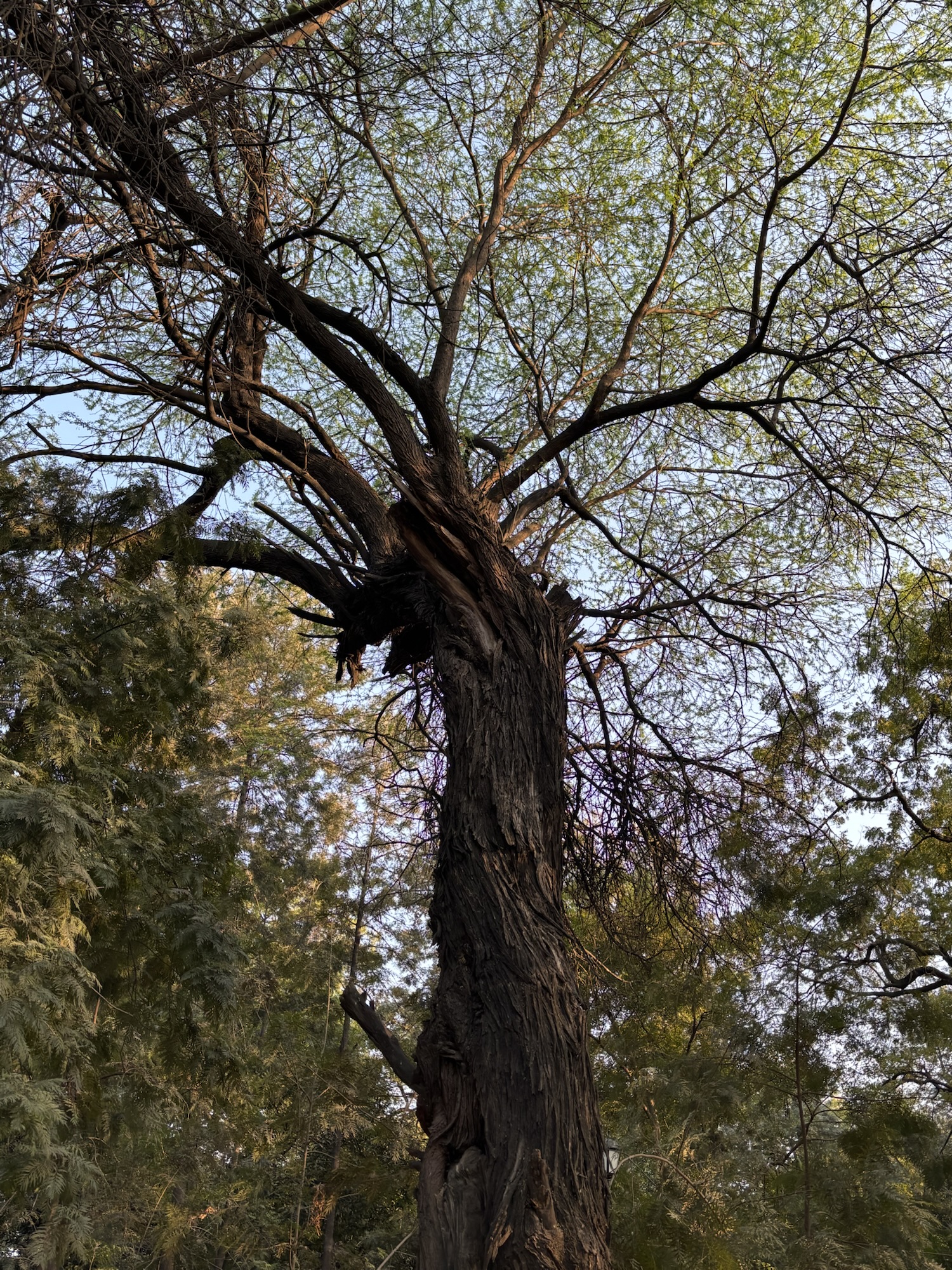 पितृ-सत्तात्मक समाज का अंतर्द्वंद!!!