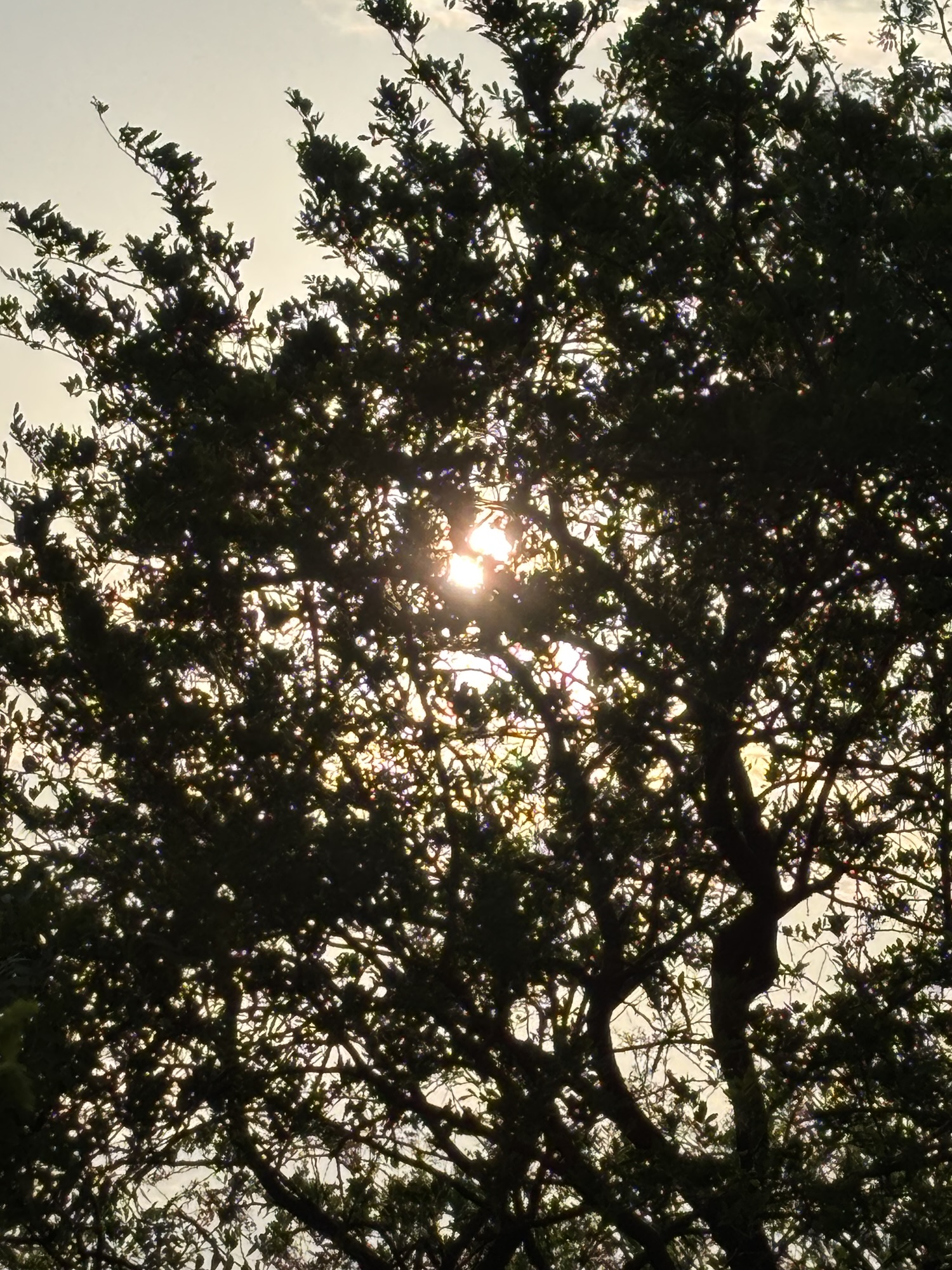 सिमटी हुई!!!