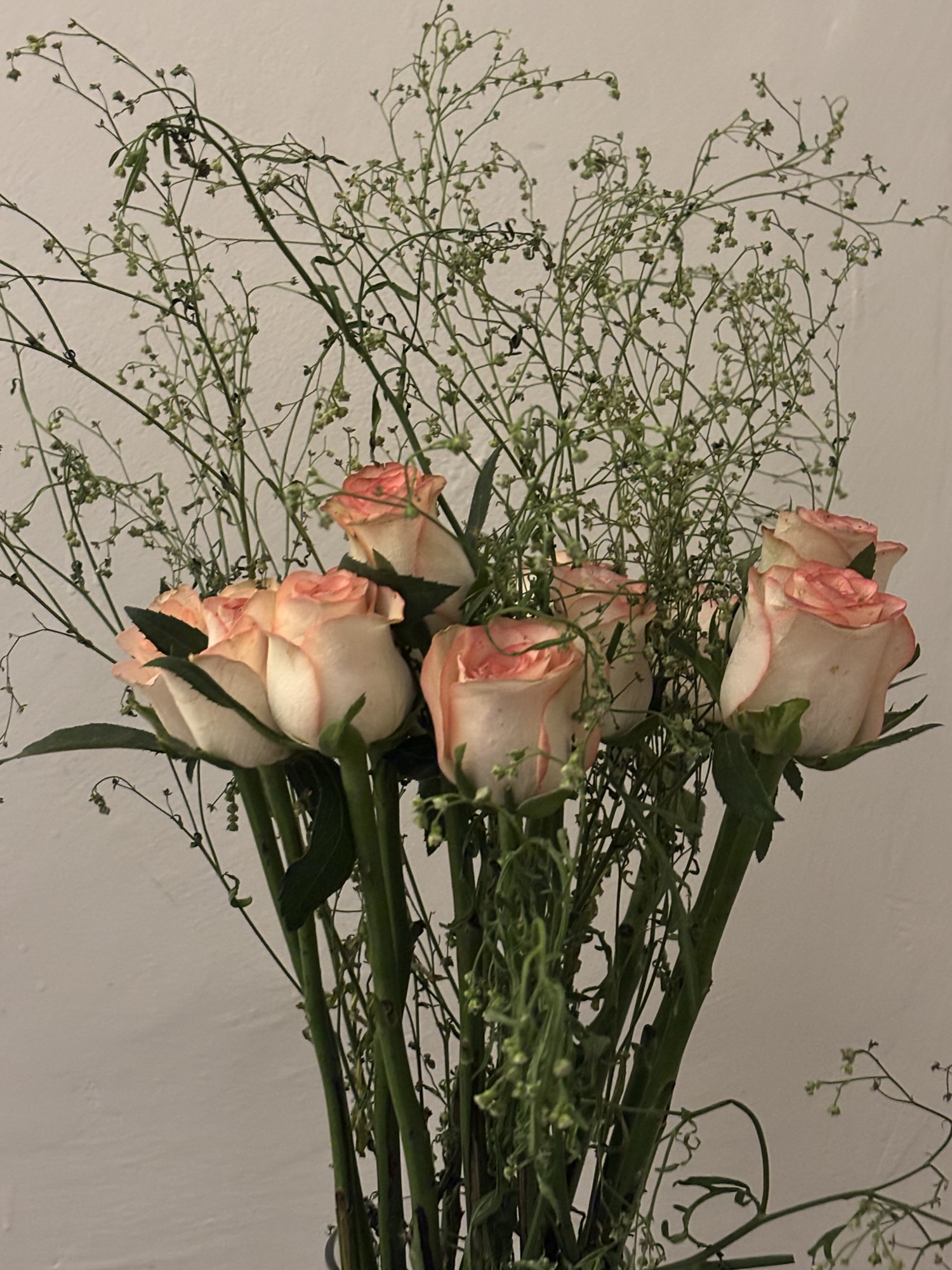 हमसफ़र!!!