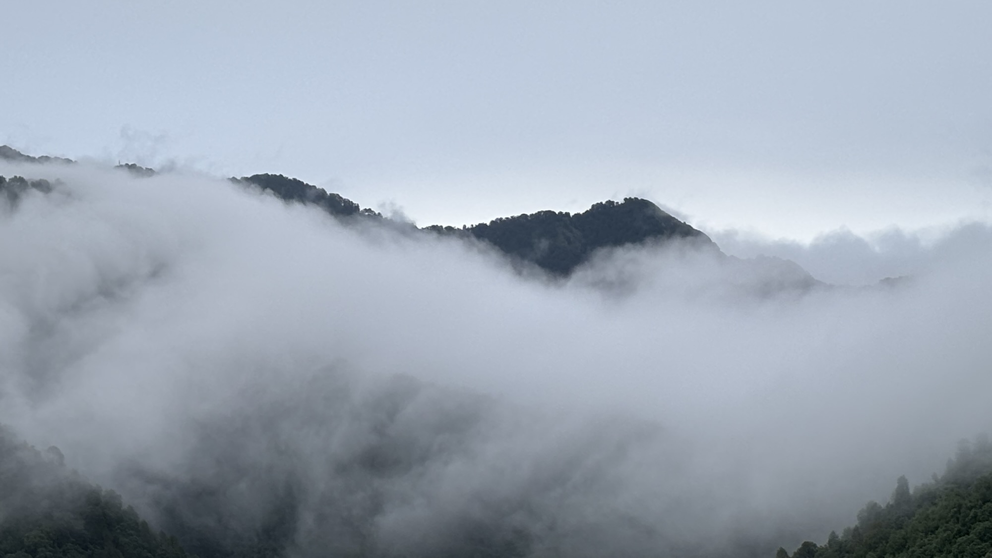 स्याह के छाया रंग!!!