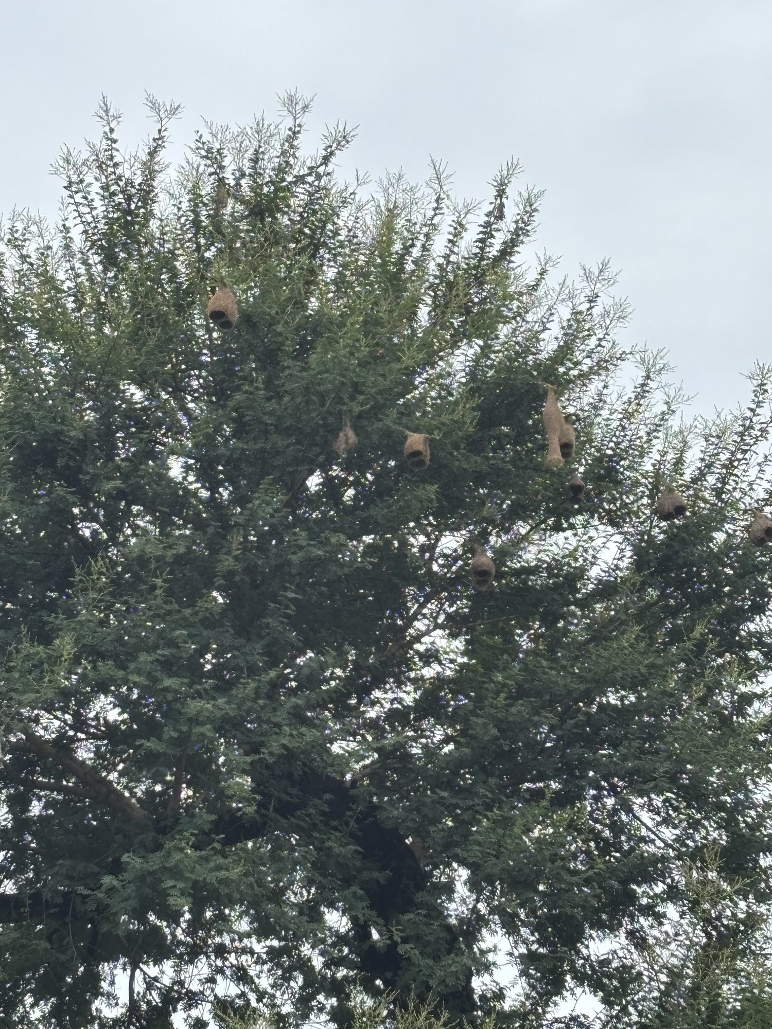 अंततोगत्वा!!!