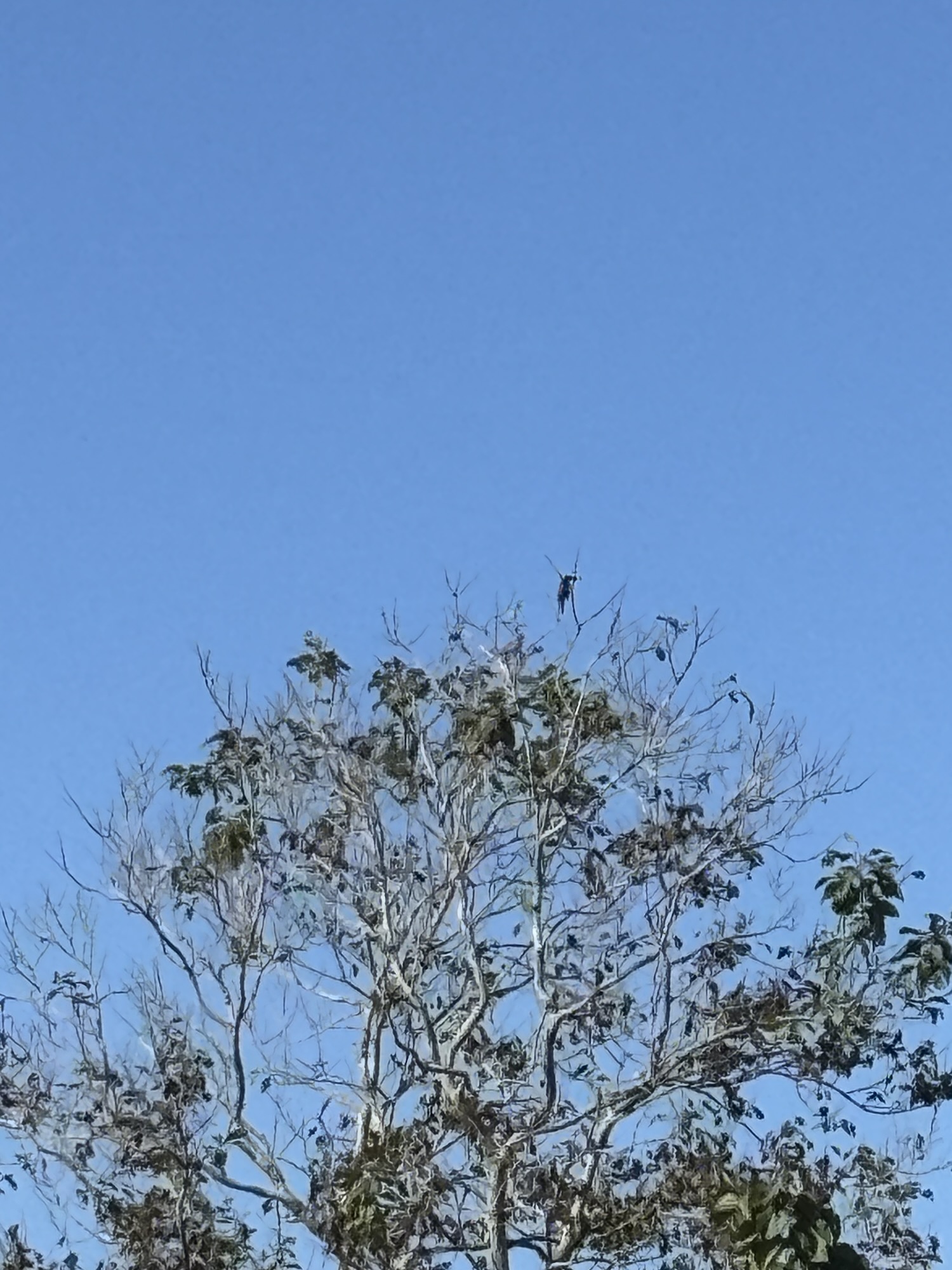 दो जून की रोटी!!!