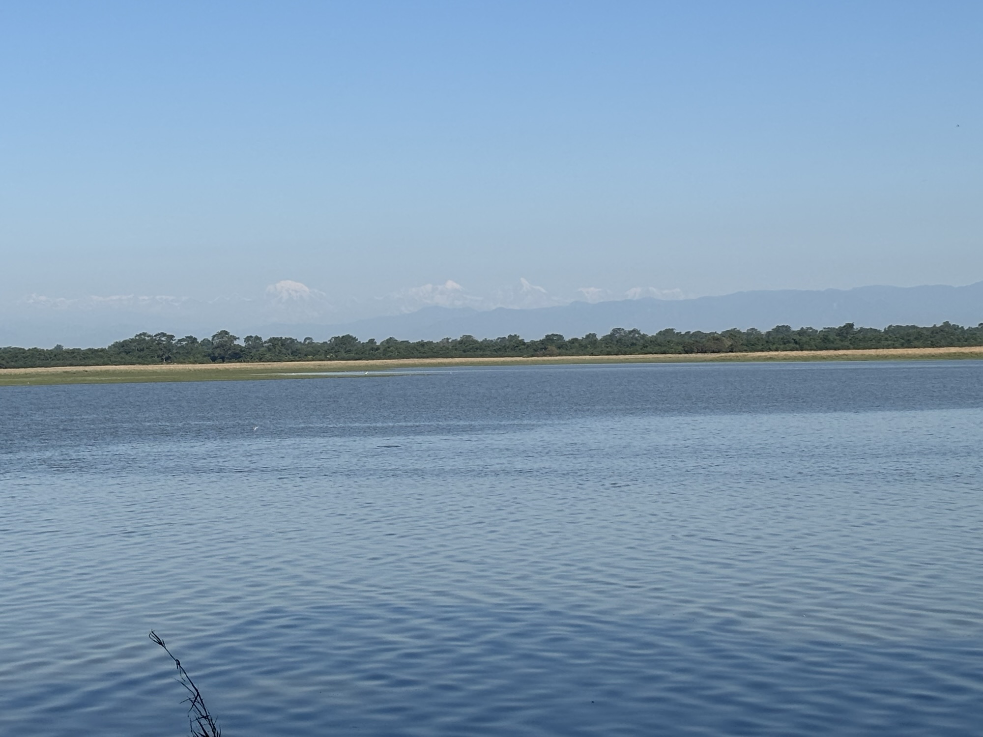 जल जल गया!!!