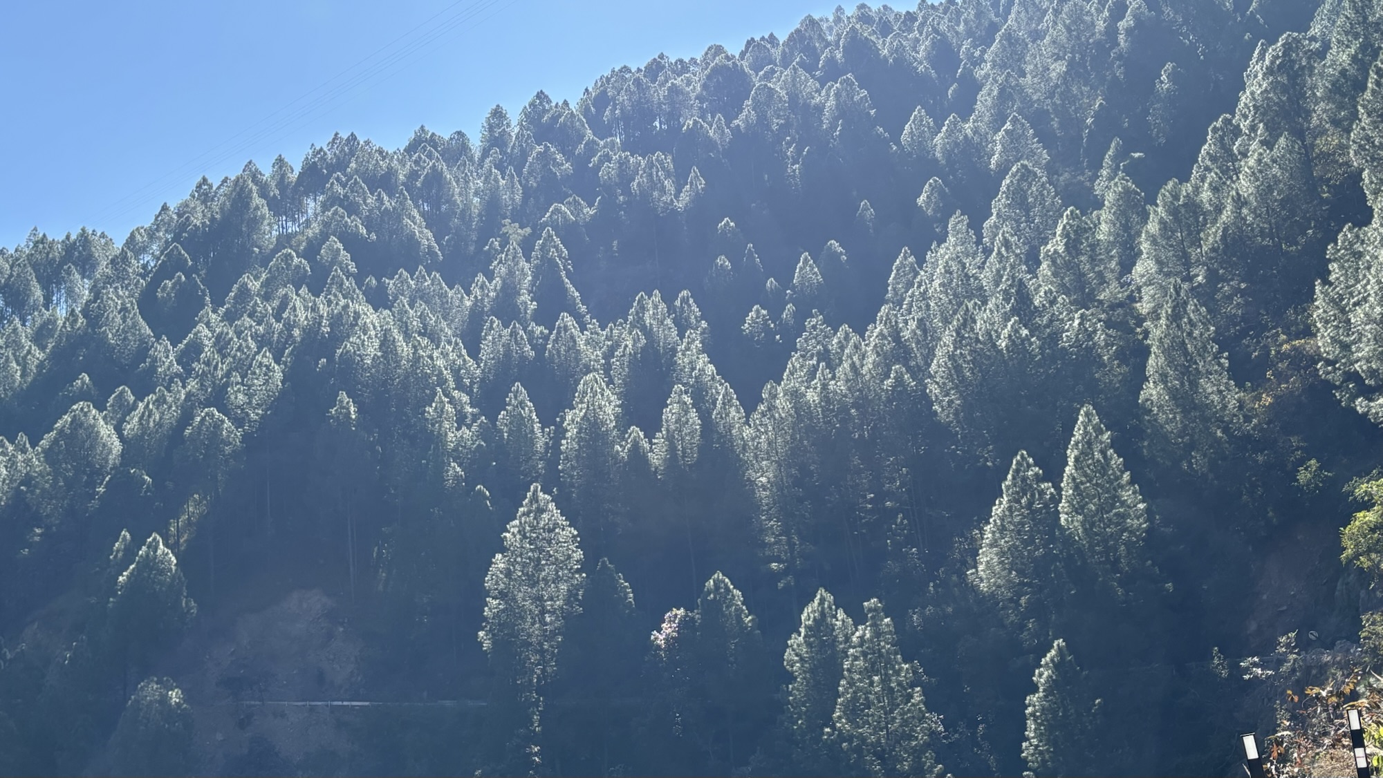 चेतनात्मक मंथन!!!